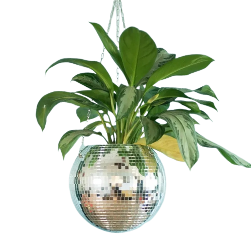 groovy plant pots Groovy Disco Ball Planter – Vhail