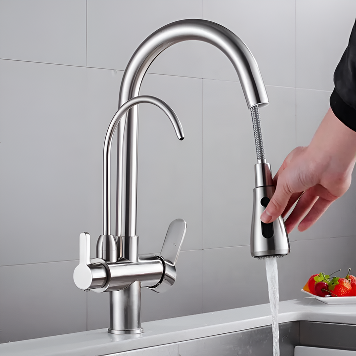 3-Way Filtered Kitchen Faucet