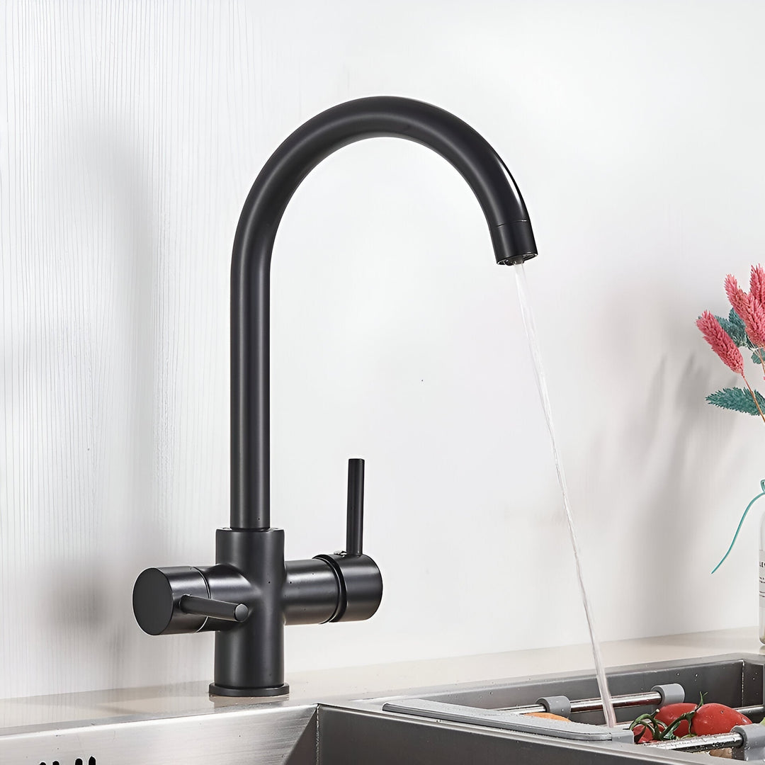 3-Way Filtered Brass Kitchen Faucet