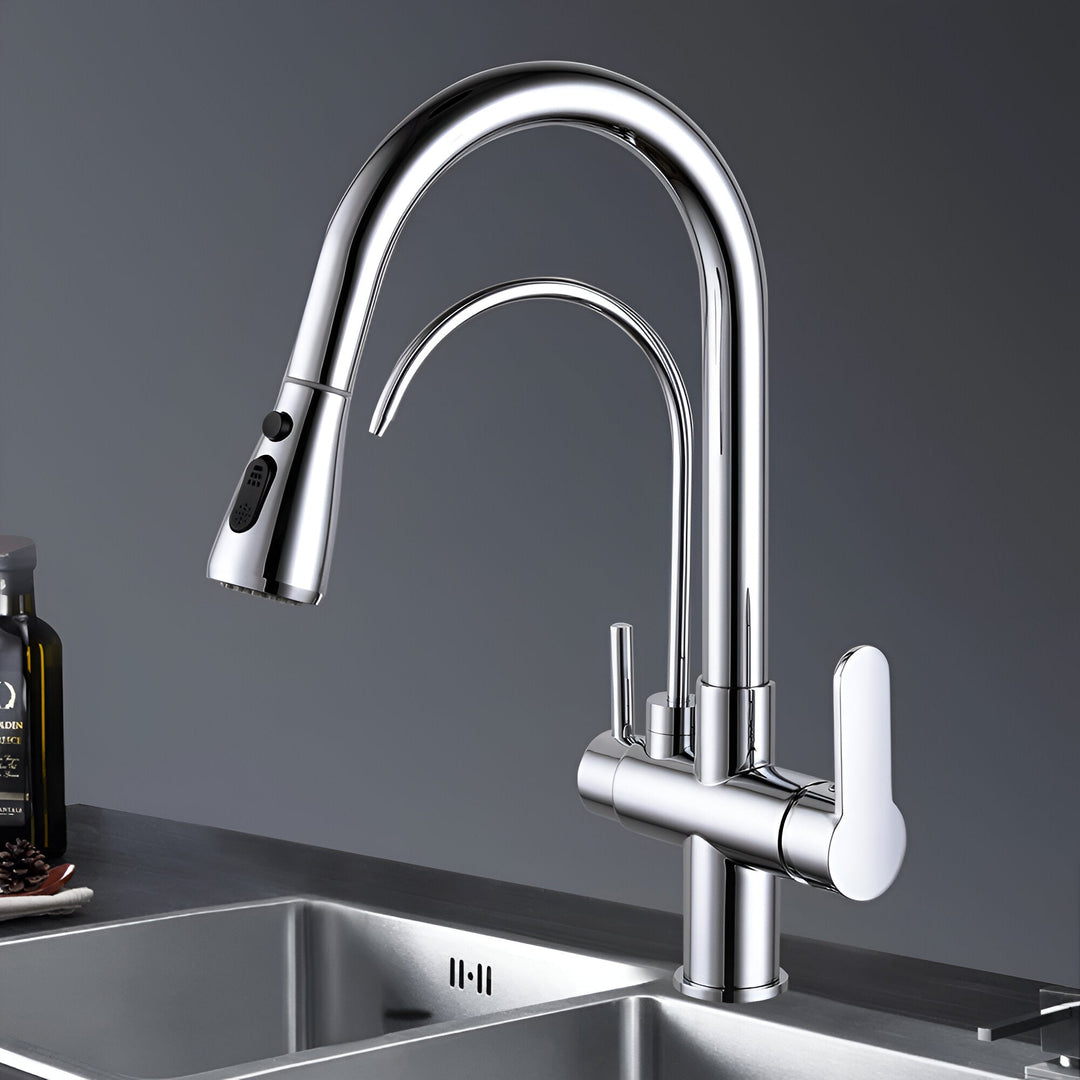 3-Way Filtered Kitchen Faucet