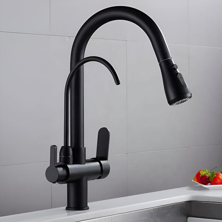 3-Way Filtered Kitchen Faucet