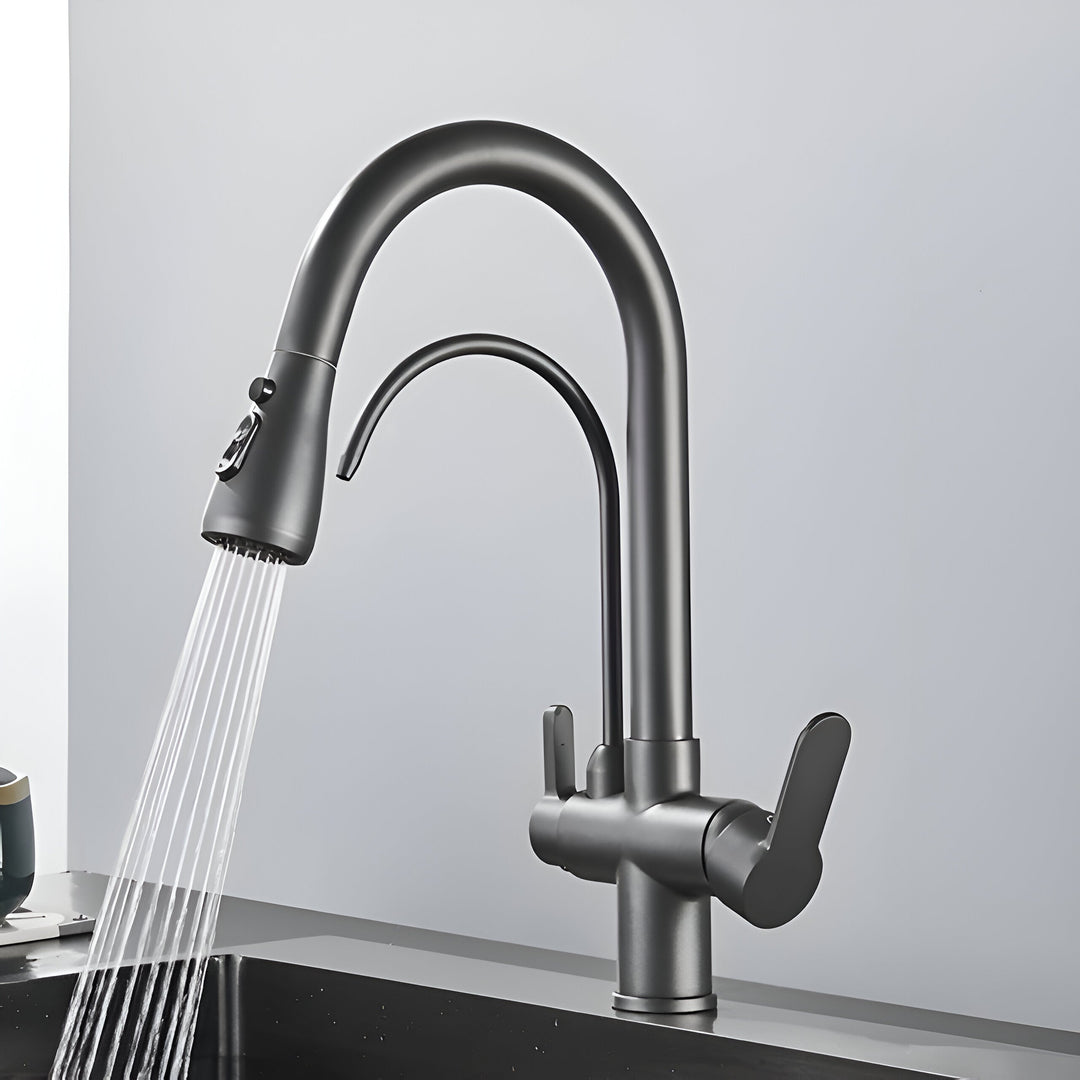 3-Way Filtered Kitchen Faucet