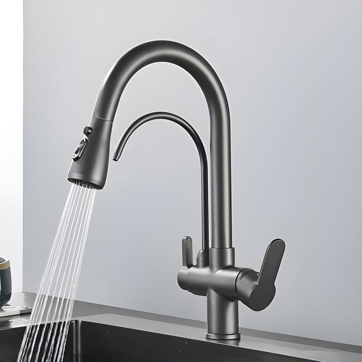 3-Way Filtered Kitchen Faucet