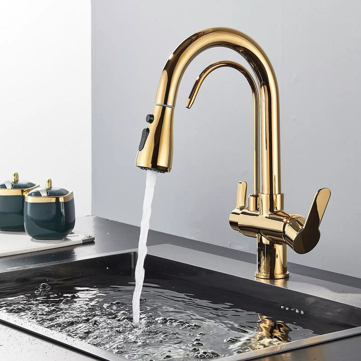 3-Way Filtered Kitchen Faucet