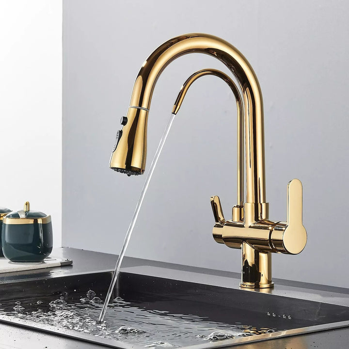 3-Way Filtered Kitchen Faucet
