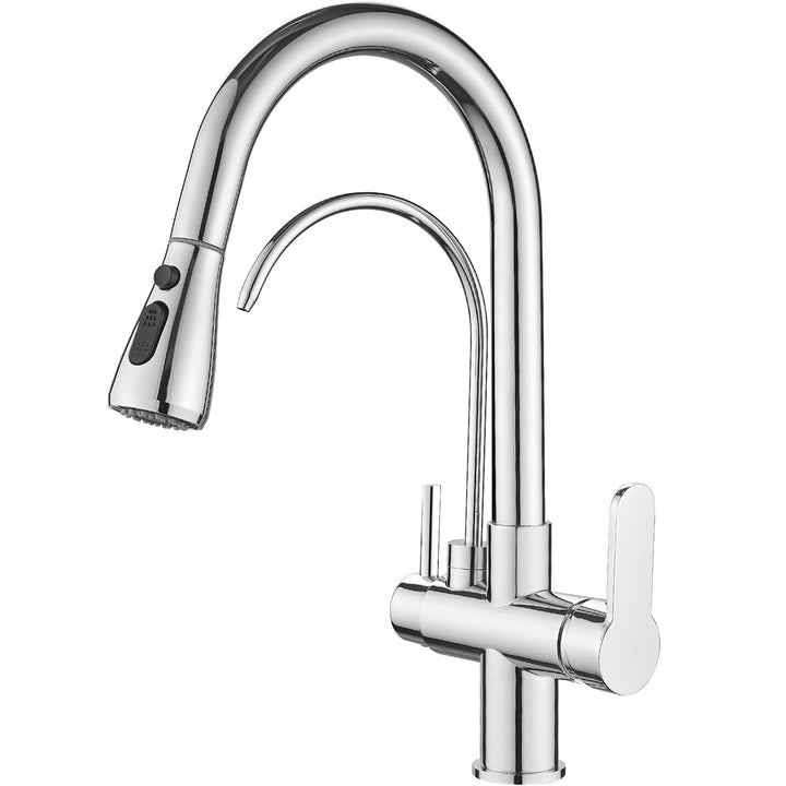 3-Way Filtered Kitchen Faucet