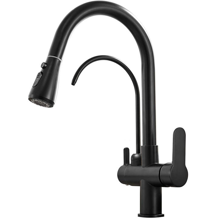 3-Way Filtered Kitchen Faucet