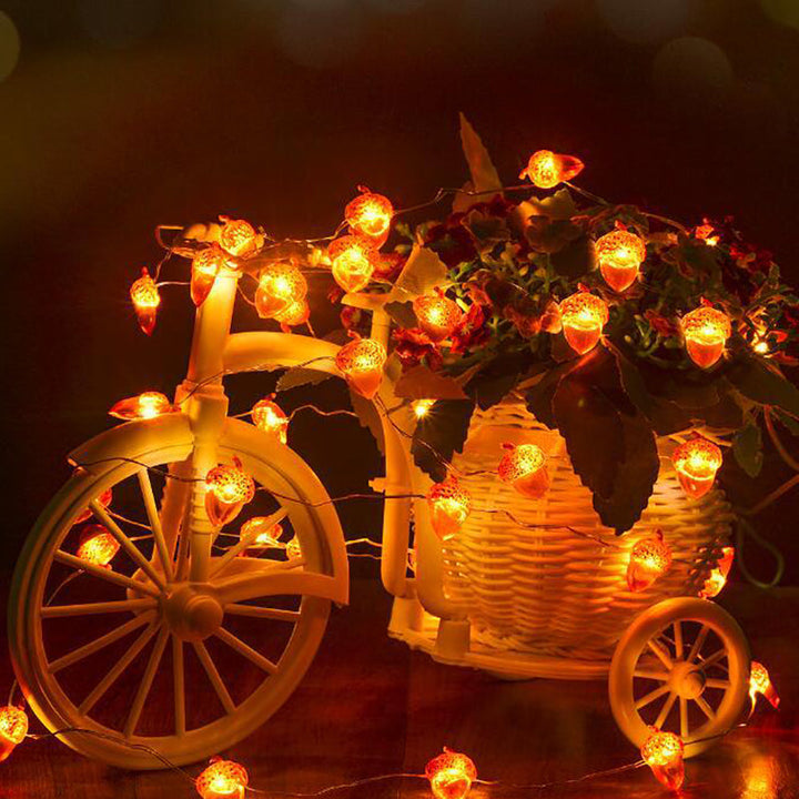 Acorn LED Light Strand - indoor display