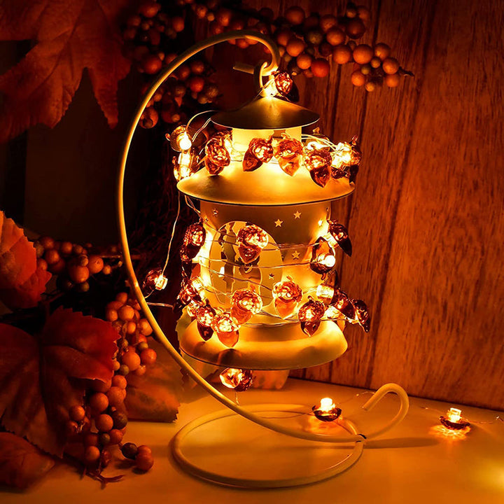 Acorn LED Light Strand - full strand