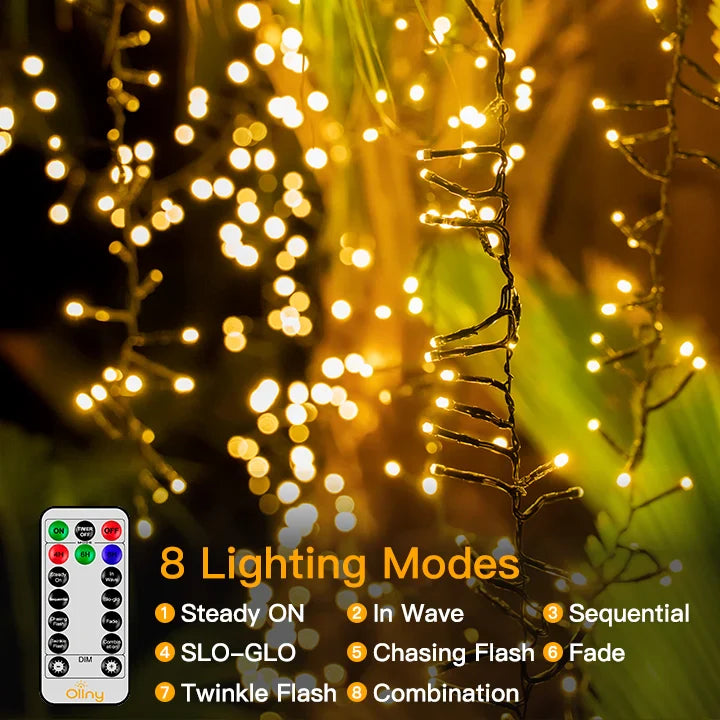 Warm White LED Cluster String Lights plug and remote