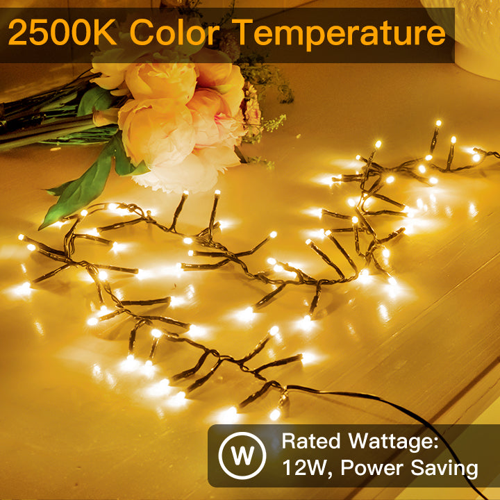 Warm White LED Cluster String Lights wedding decor