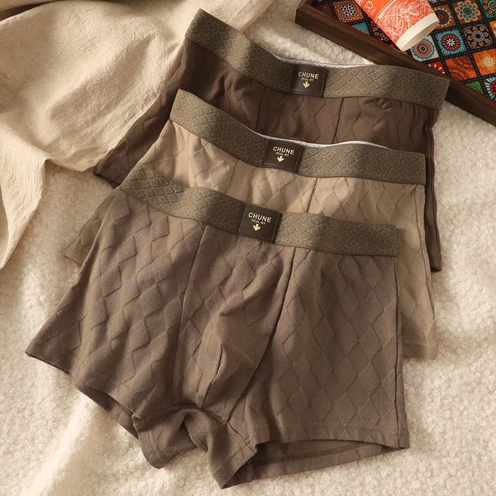Comfortable Organic Cotton Boxer Briefs