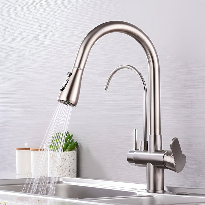 3-Way Filtered Kitchen Faucet sprayer detail