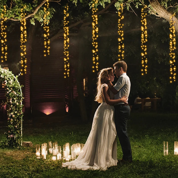 Warm White LED Cluster String Lights on wedding trees