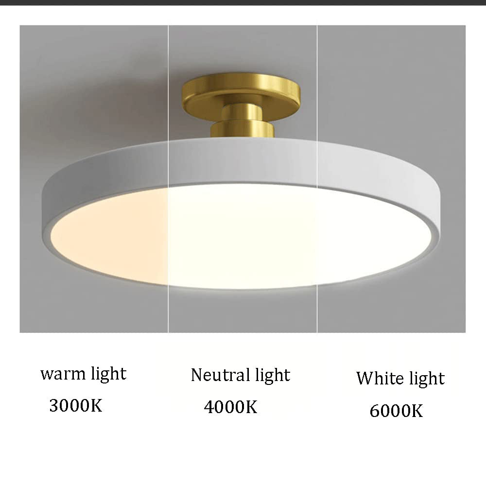 Modern Round LED Flush Mount Ceiling Light with Dimmable Options and Metallic Accent
