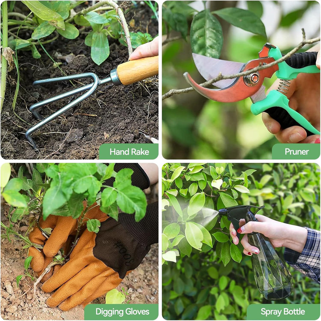 Gardener's Essentials Stainless Tool Set tools laid out