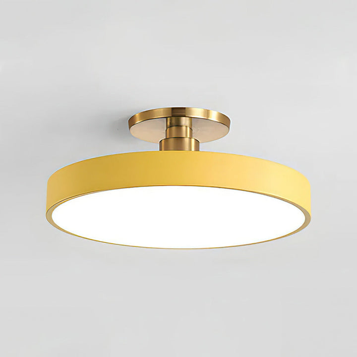 Modern Round LED Flush Mount Ceiling Light with Dimmable Options and Metallic Accent