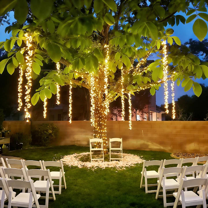 Warm White LED Cluster String Lights on tree branch