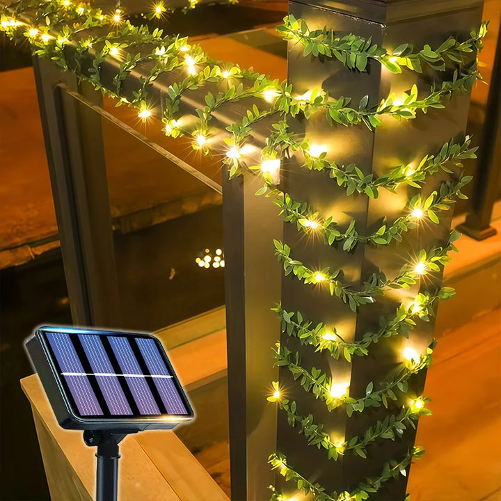 Ambient Solar Ivy Fairy Lights 7