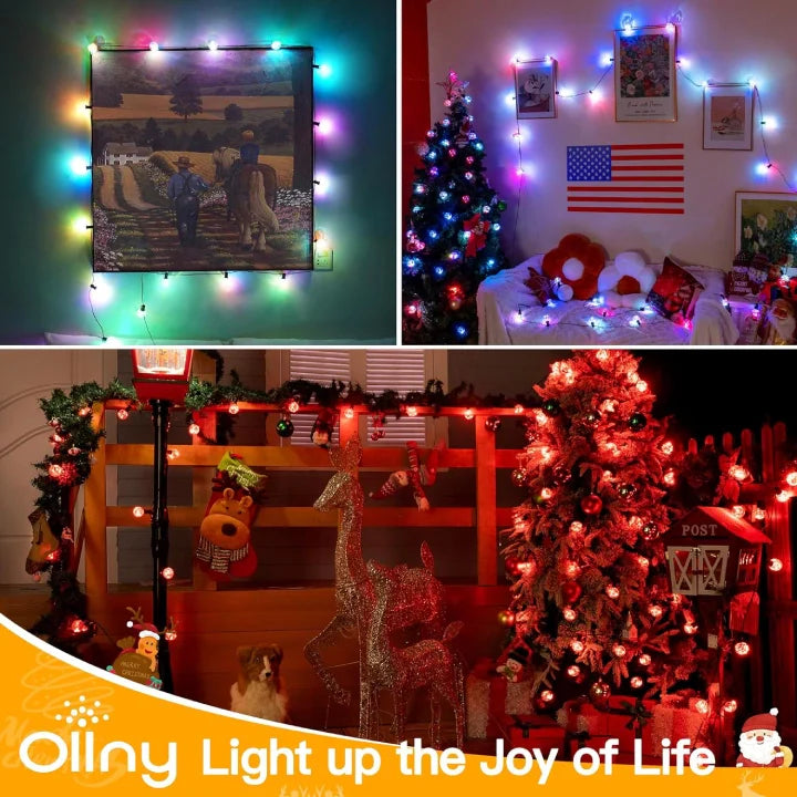 G40 Globe String Lights package contents