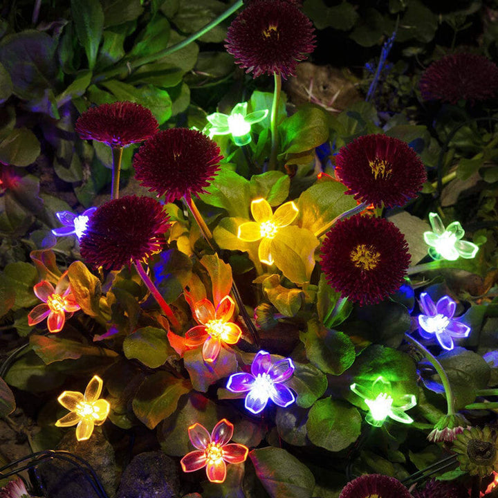 Charming Solar Fairy String Lights 3