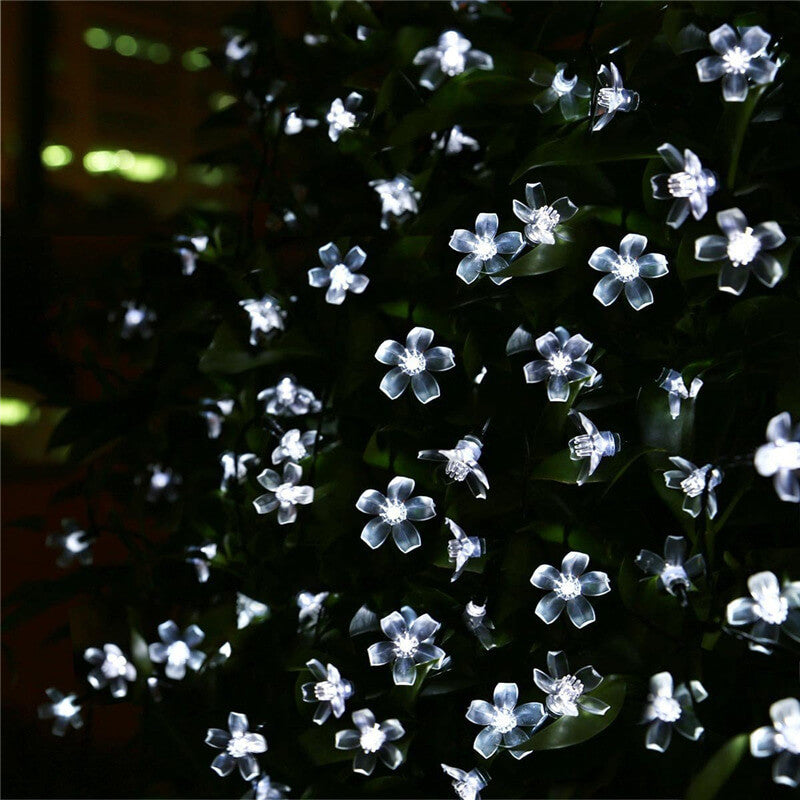 Charming Solar Fairy String Lights 9