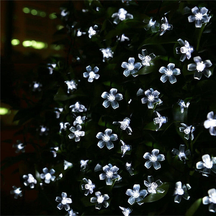Charming Solar Fairy String Lights 9
