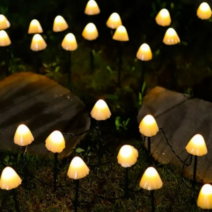 Charming Solar Garden Lights 5
