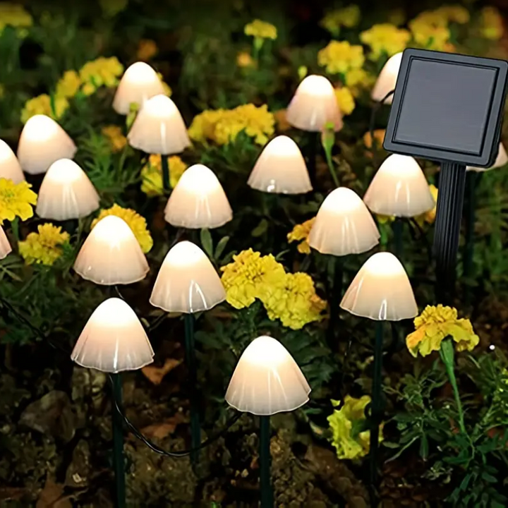 Charming Solar Garden Lights 6