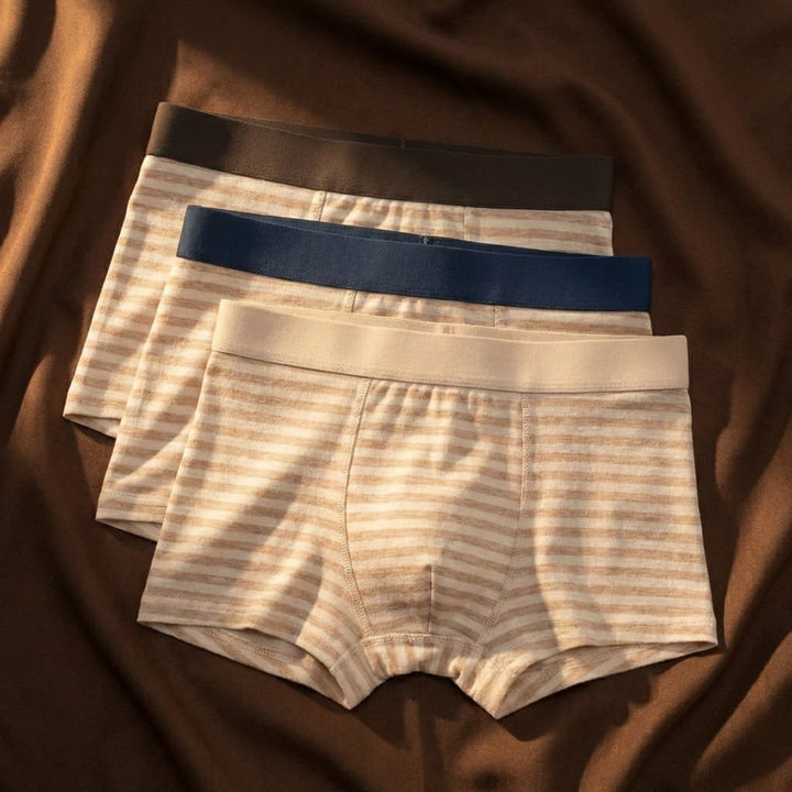 Classic Stripe Organic Cotton Boxer Briefs 1
