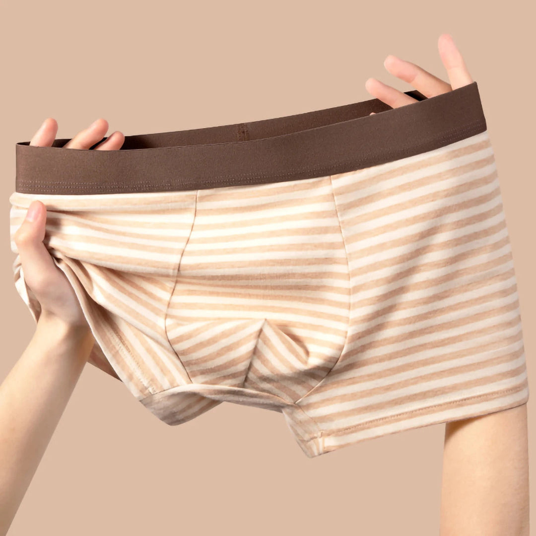 Classic Stripe Organic Cotton Boxer Briefs 2
