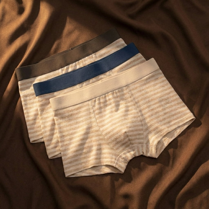 Classic Stripe Organic Cotton Boxer Briefs 5