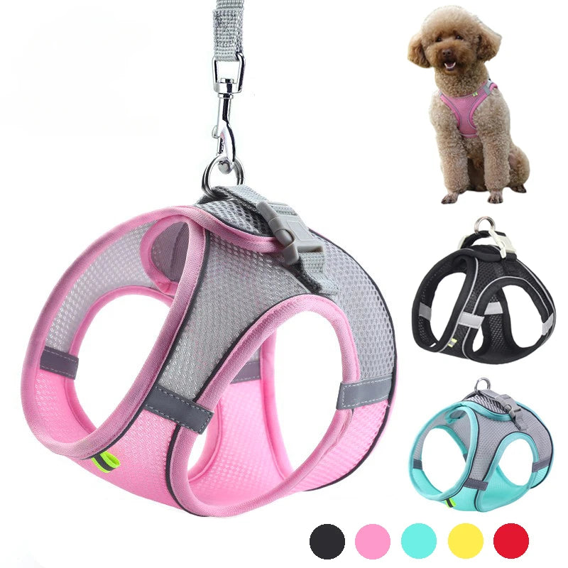 Comfortable Adjustable Dog Harness Leash Set 1