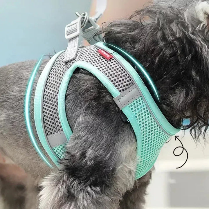 Comfortable Adjustable Dog Harness Leash Set 2
