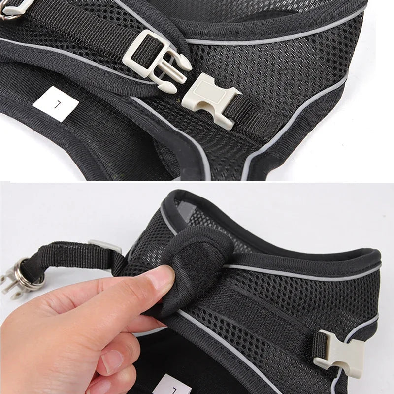 Comfortable Adjustable Dog Harness Leash Set 4