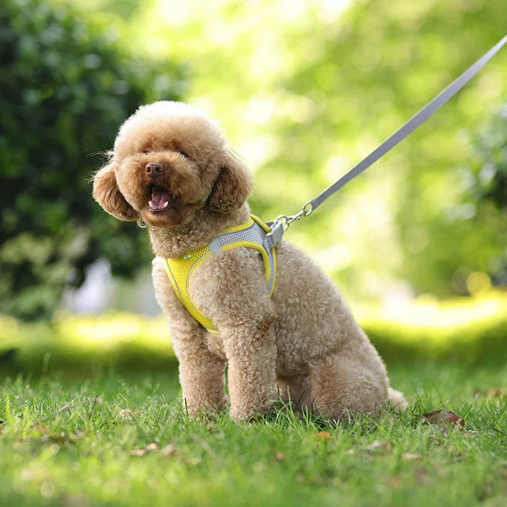 Comfortable Adjustable Dog Harness Leash Set 5