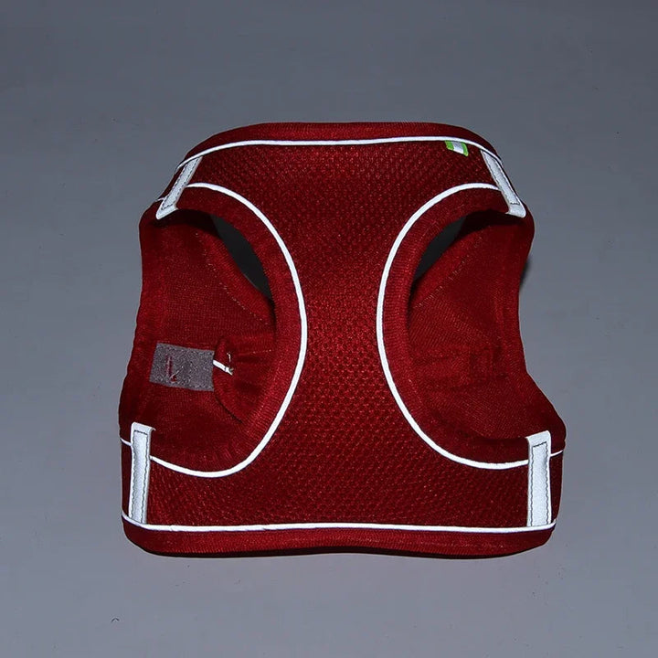 Comfortable Adjustable Dog Harness Leash Set 6