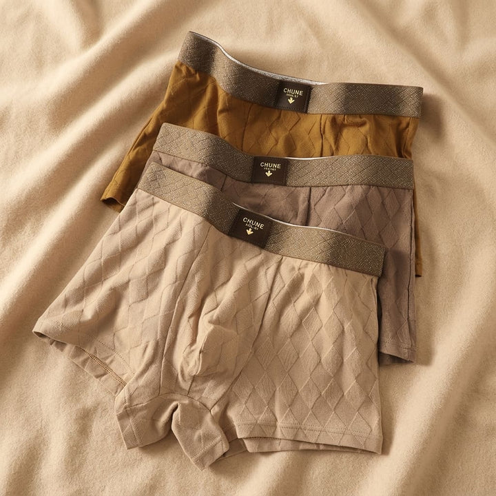 Comfortable Organic Cotton Boxer Briefs 1