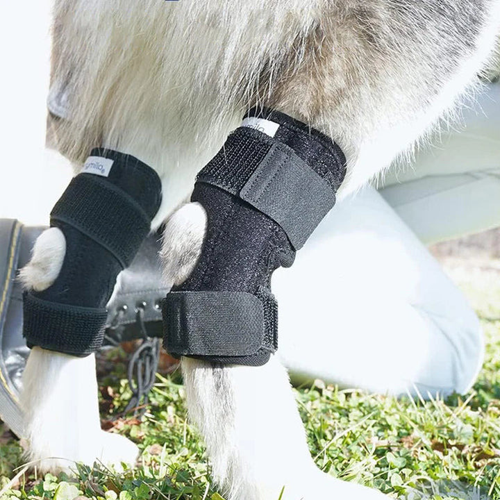 Comforting Neoprene Dog Leg Wrap 2