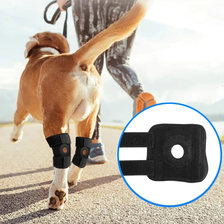 Comforting Neoprene Dog Leg Wrap 3