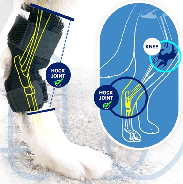 Comforting Neoprene Dog Leg Wrap 4