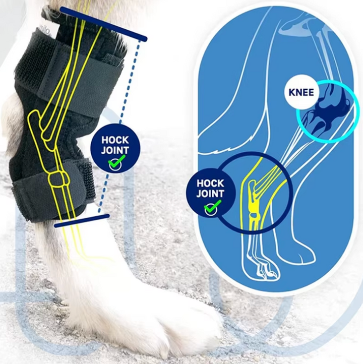 Comforting Neoprene Dog Leg Wrap 4