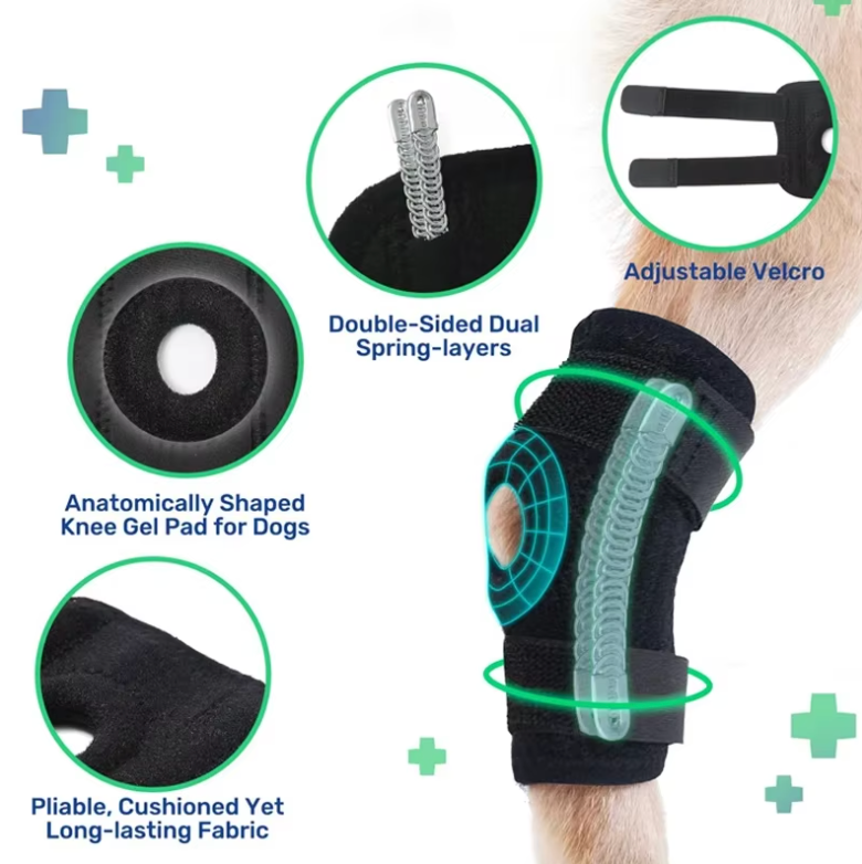 Comforting Neoprene Dog Leg Wrap 5
