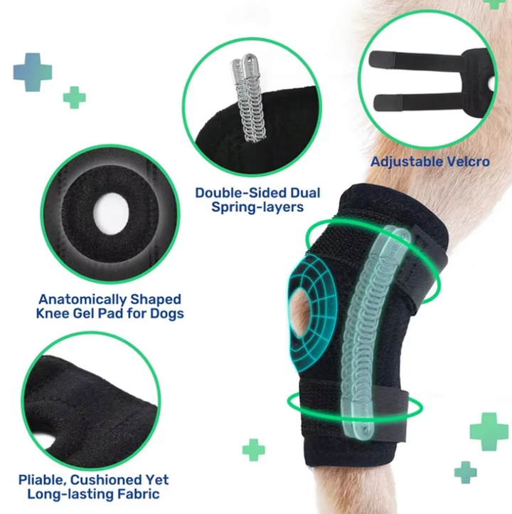 Comforting Neoprene Dog Leg Wrap 5