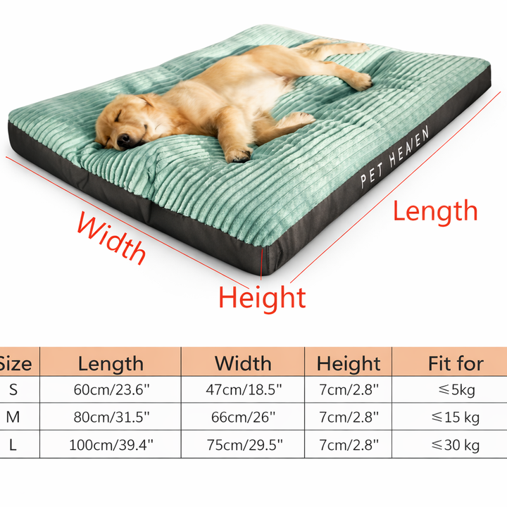 Cozy Corduroy Dog Bed 3