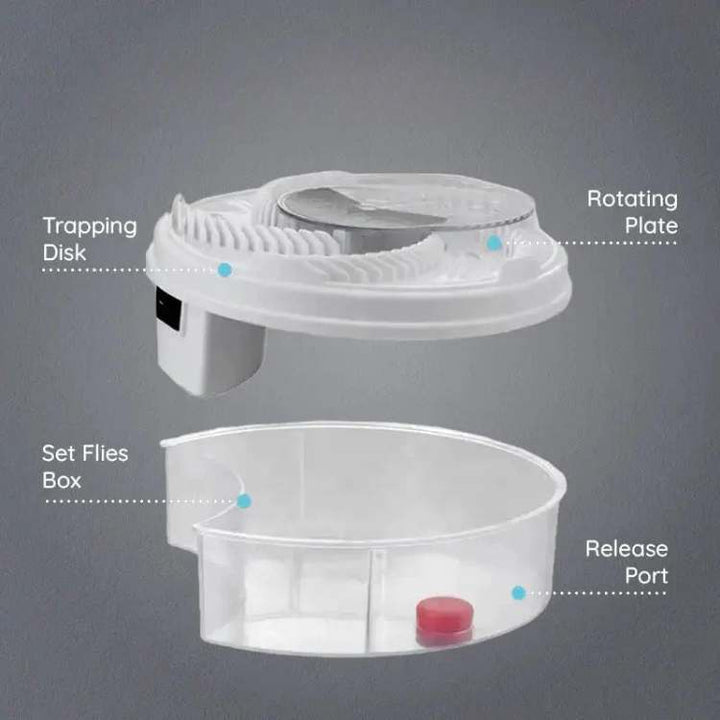 Cozy Eco-Friendly Fly Trap 2