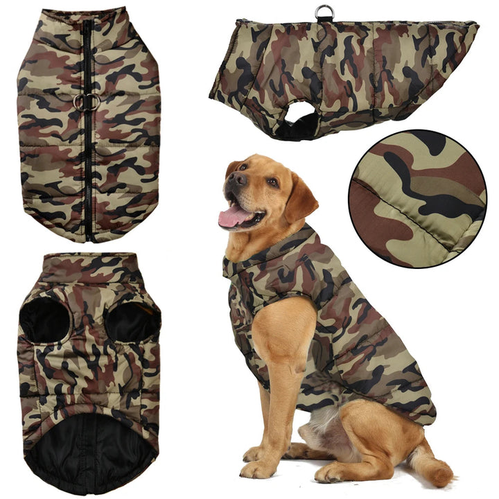 Cozy Insulated Dog Jacket 1