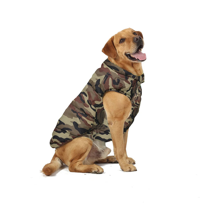 Cozy Insulated Dog Jacket 5