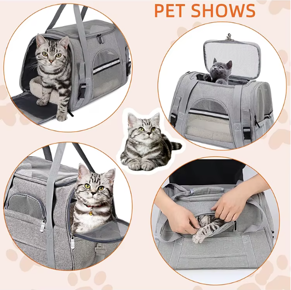 Cozy Mesh Pet Carrier 2
