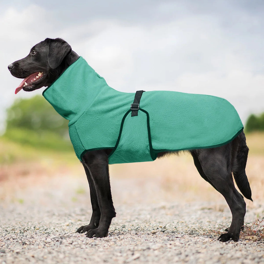 Cozy Thermal Dog Coat 0